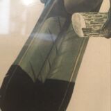 Ornithological board "The Giant Touraco" by Barrabant.