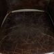 Characterful set of 6 cowhide dining chairs made of grained leather