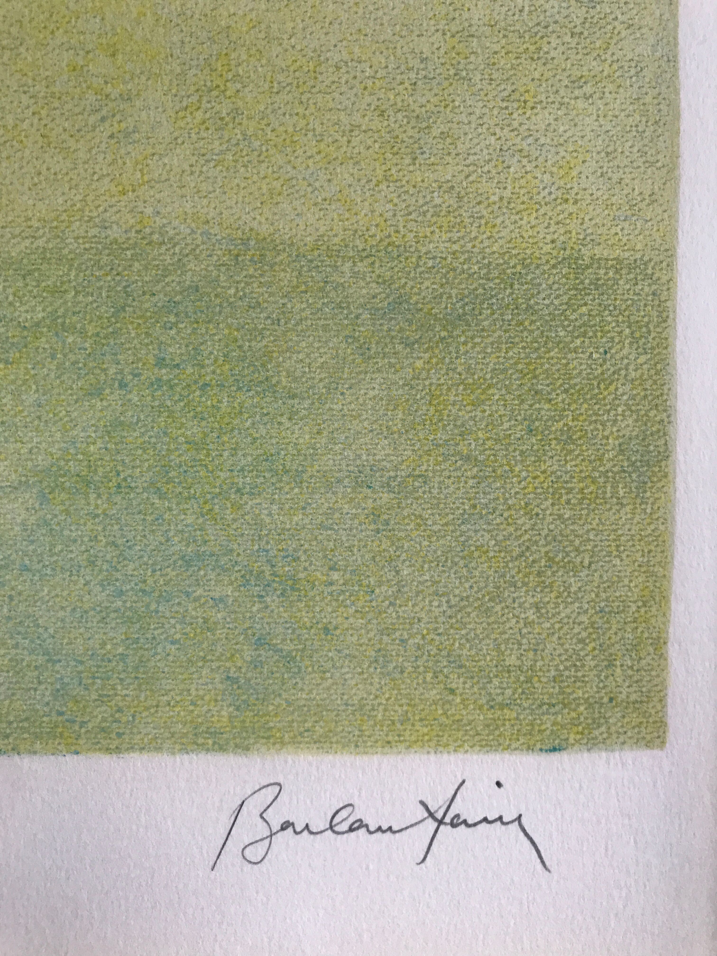 Signed and justified lithograph by pierre boncompain, untitled (tulips baroques), 1982
