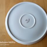Assiette porcelaine d'art PG France