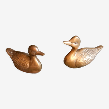 Couple of brass ducks