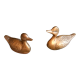 Couple of brass ducks