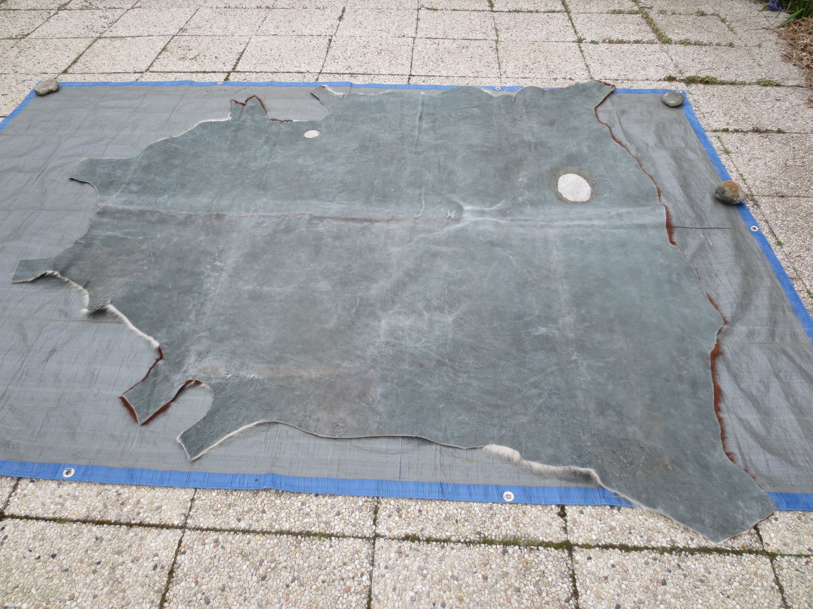 Cowhide color auburn and white 200x200cm