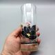 8 Luminarc GLASSES model Anaïs rose noire vintage longdrink