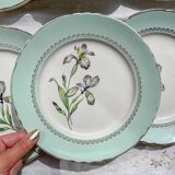 6 vintage white and green porcelain dinner plates Iris Moulin des Loups "Sargosse" 1950s