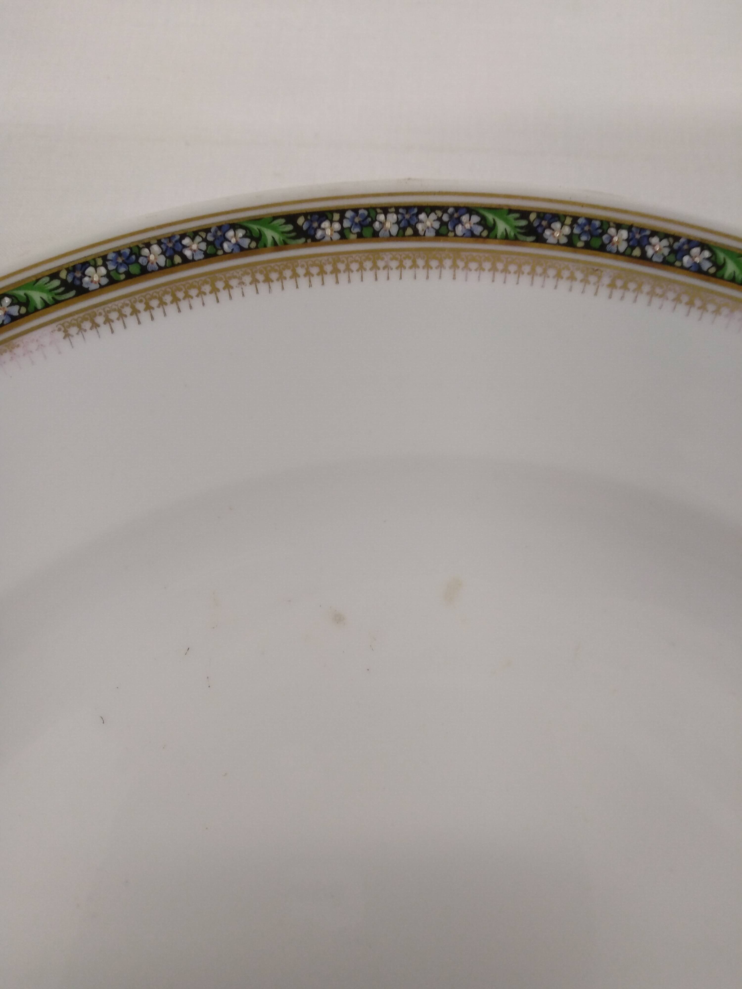Fraureuth German porcelain plate service