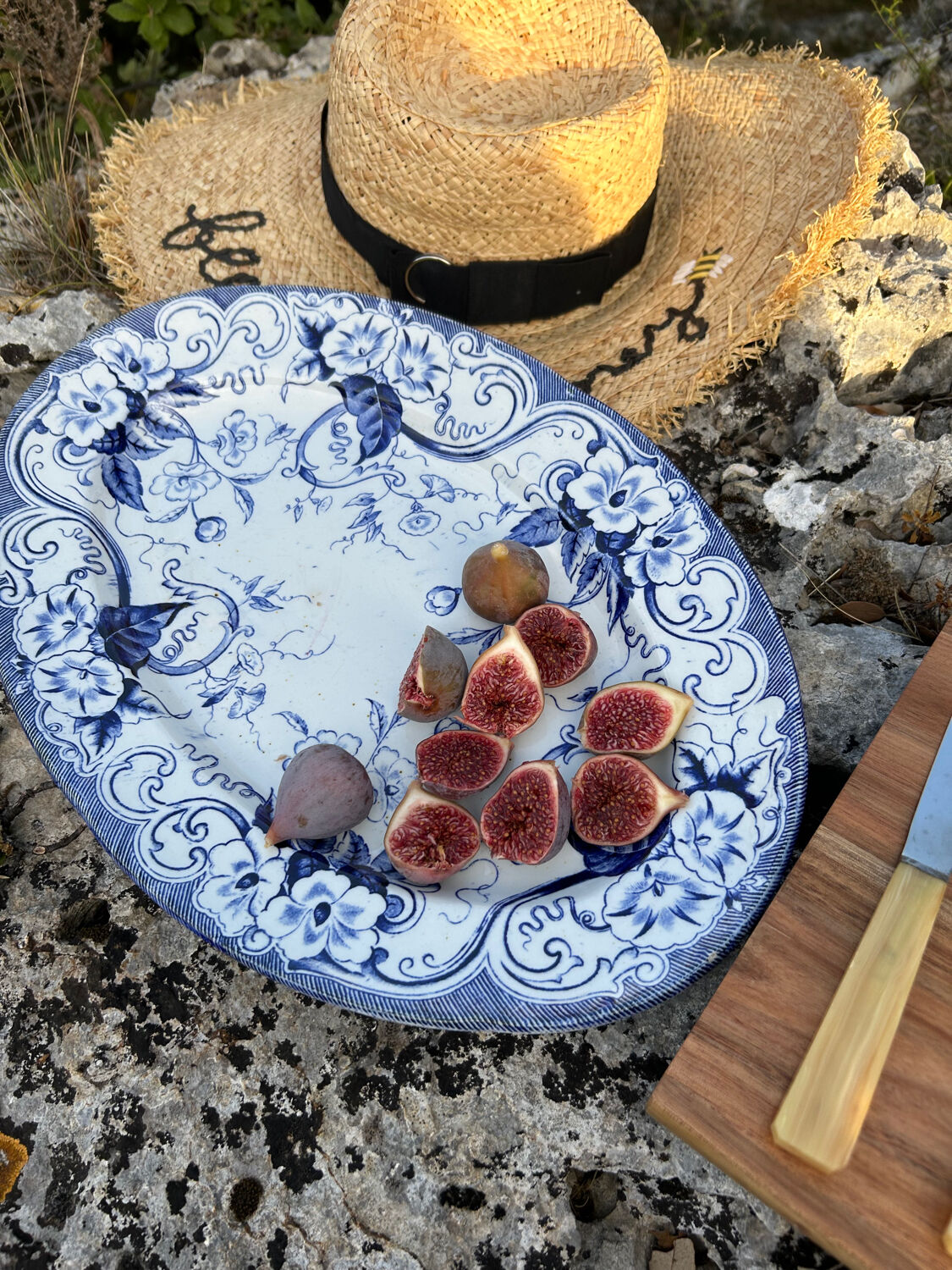 Flora Creil and Montereau dish 1880