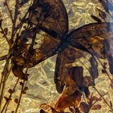 Sculptural lamp ACCOLAY