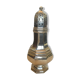 Silver metal sprinkler