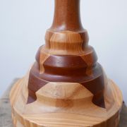 Lampe de table de spécimen en bois du milieu du siècle