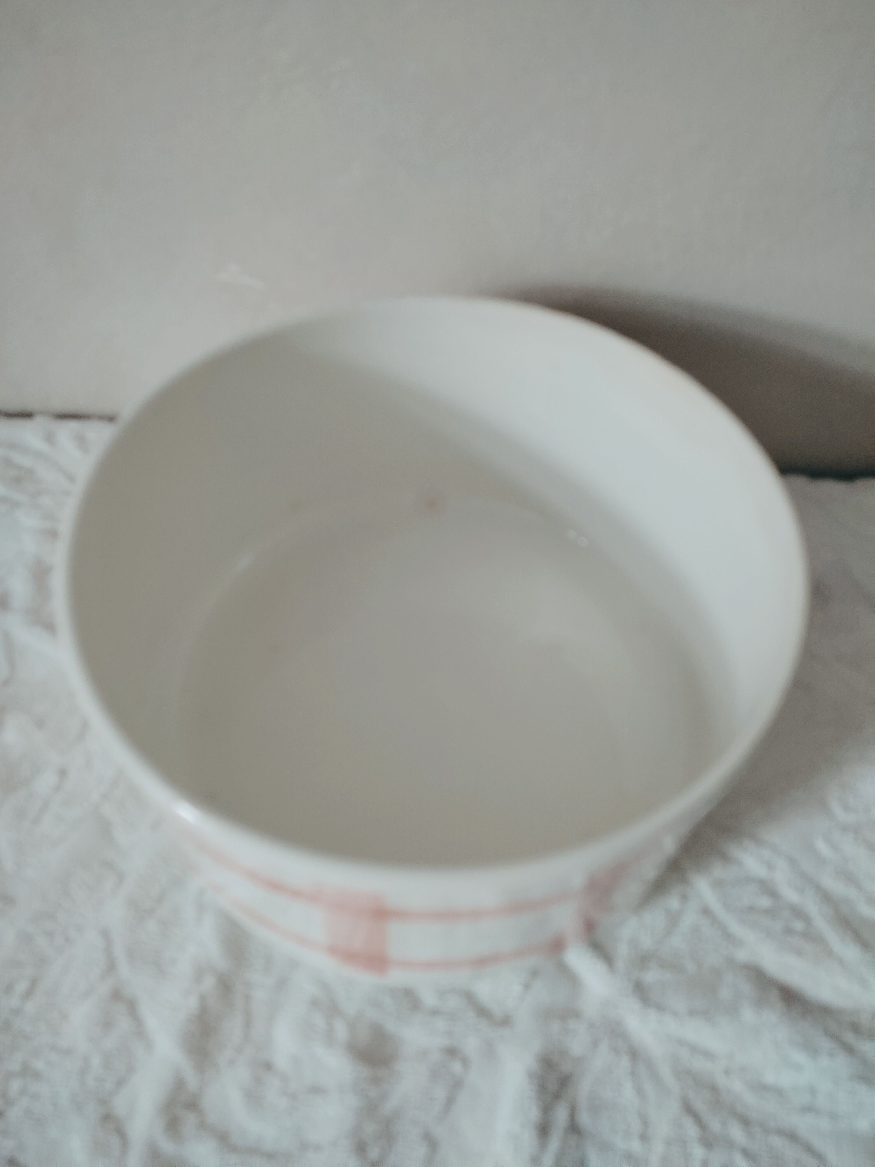 Retro salad bowl Moulin des Loups