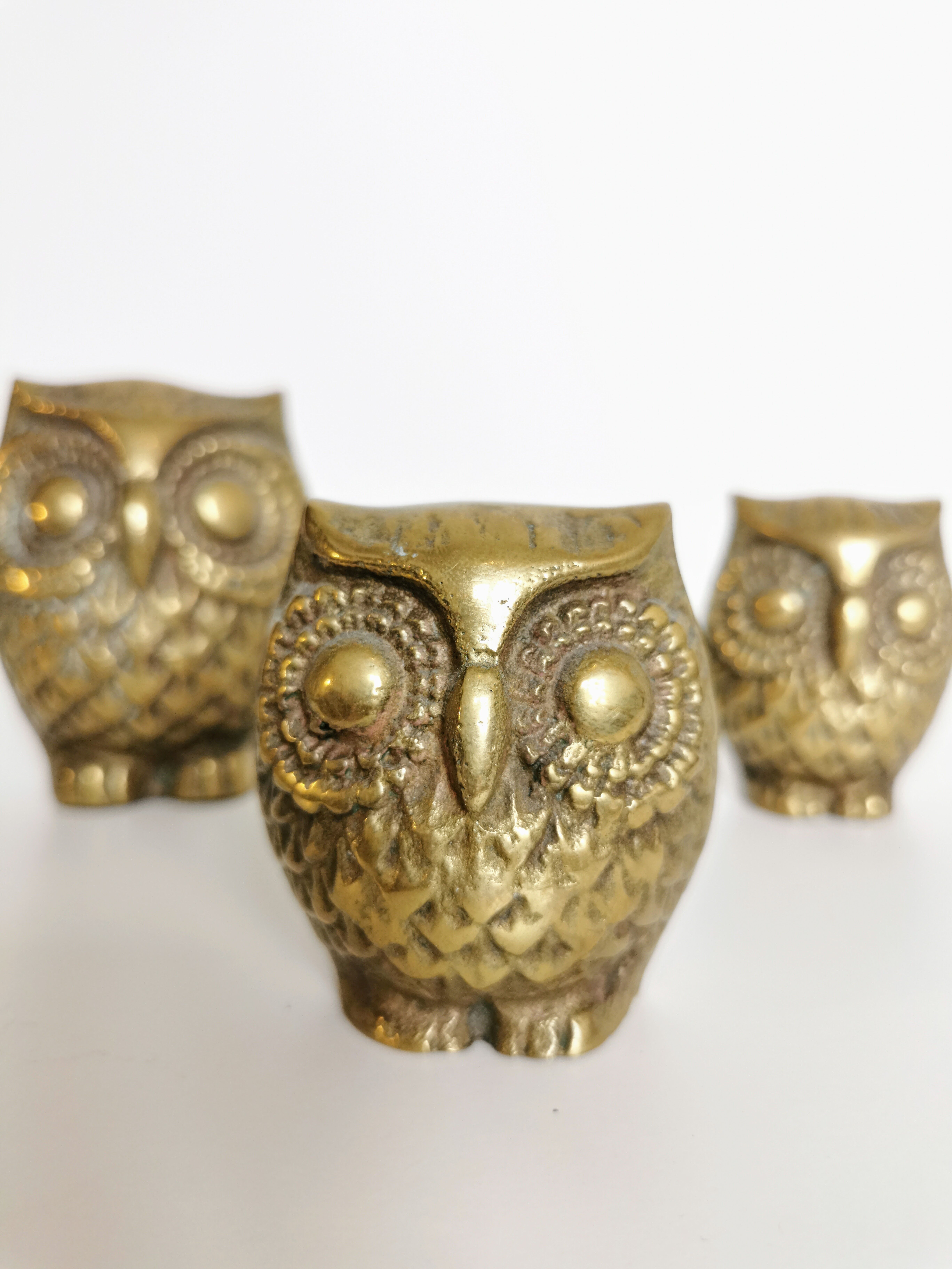 Trio of brass owls