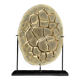 Septaria on custom stand