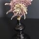 Cabinet of Curiosities shell angaria imperialis on base