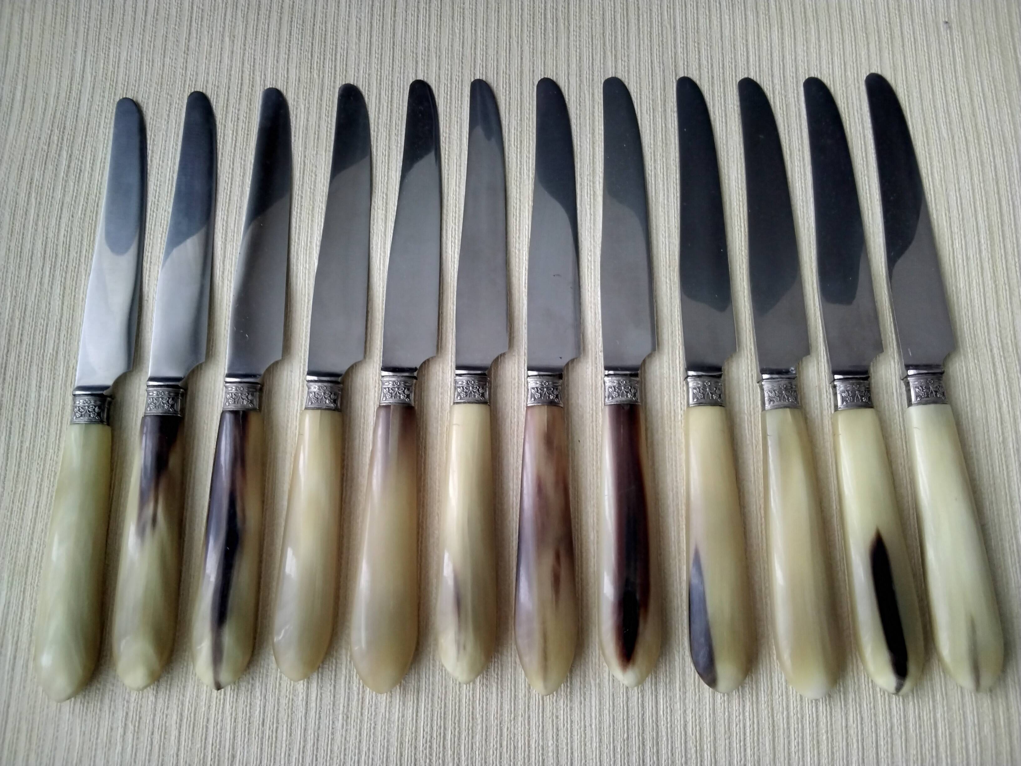 12 Apollo cheese knives Stainless steel and bovine horn