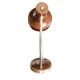 Vintage desk lamp with flexible arm, Belgium, 1970s