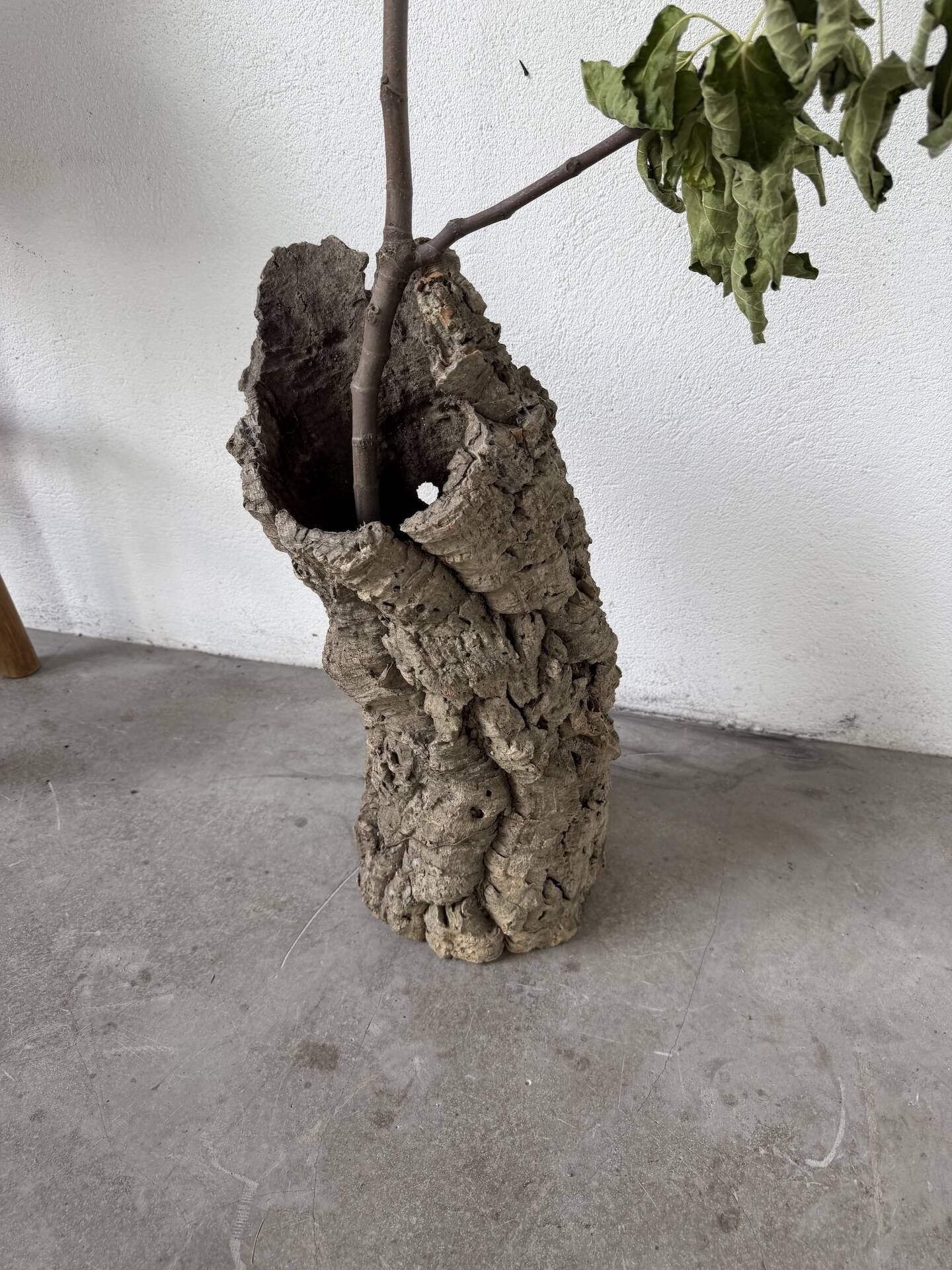 XL cork bark vase