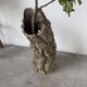 XL cork bark vase