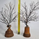 Pair of black fan corals on turned wooden base, Height 25 cm