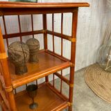 Rattan shelf