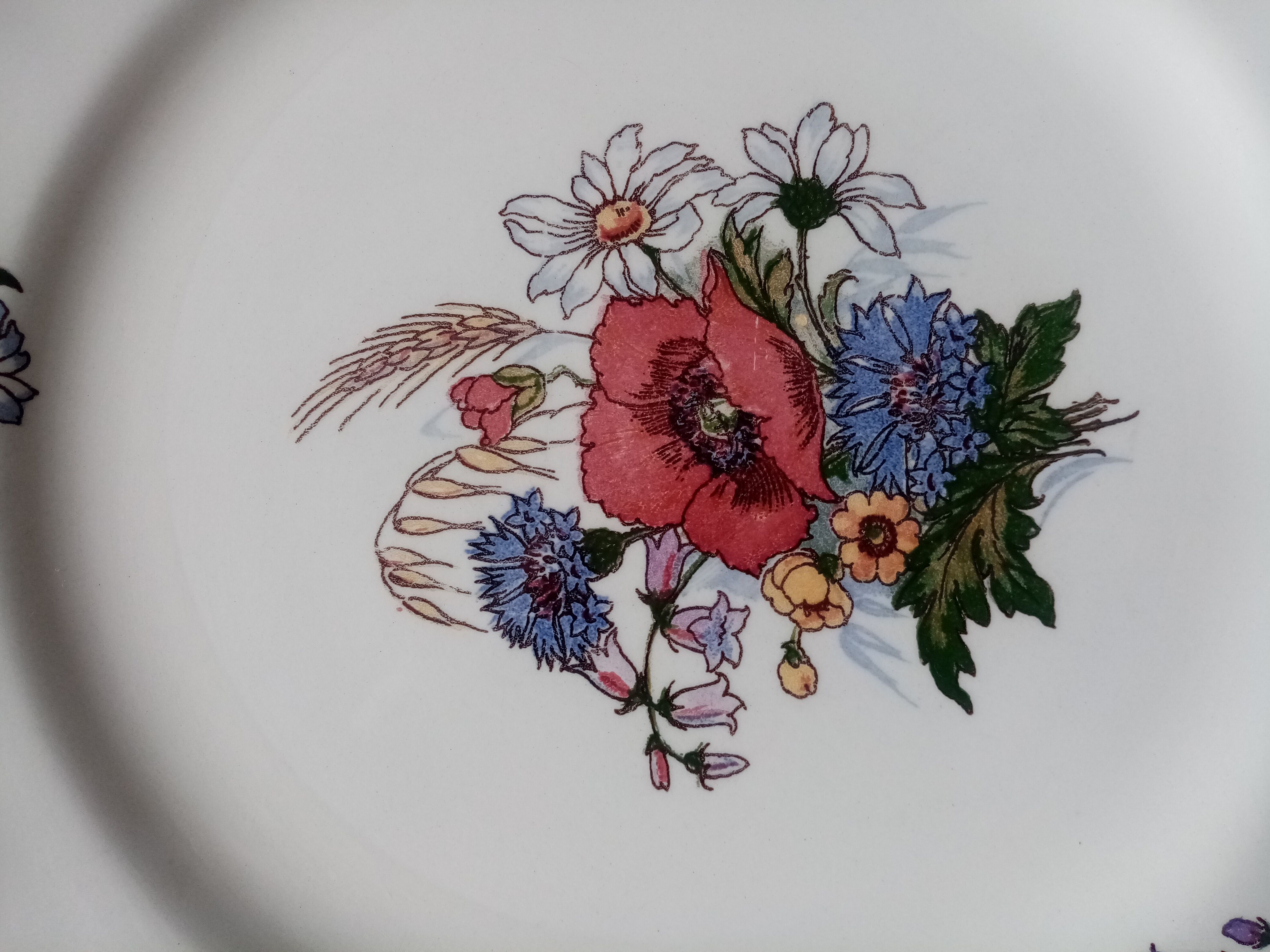 Series of 6 flat plates in earthenware of sarreguemines model agreste