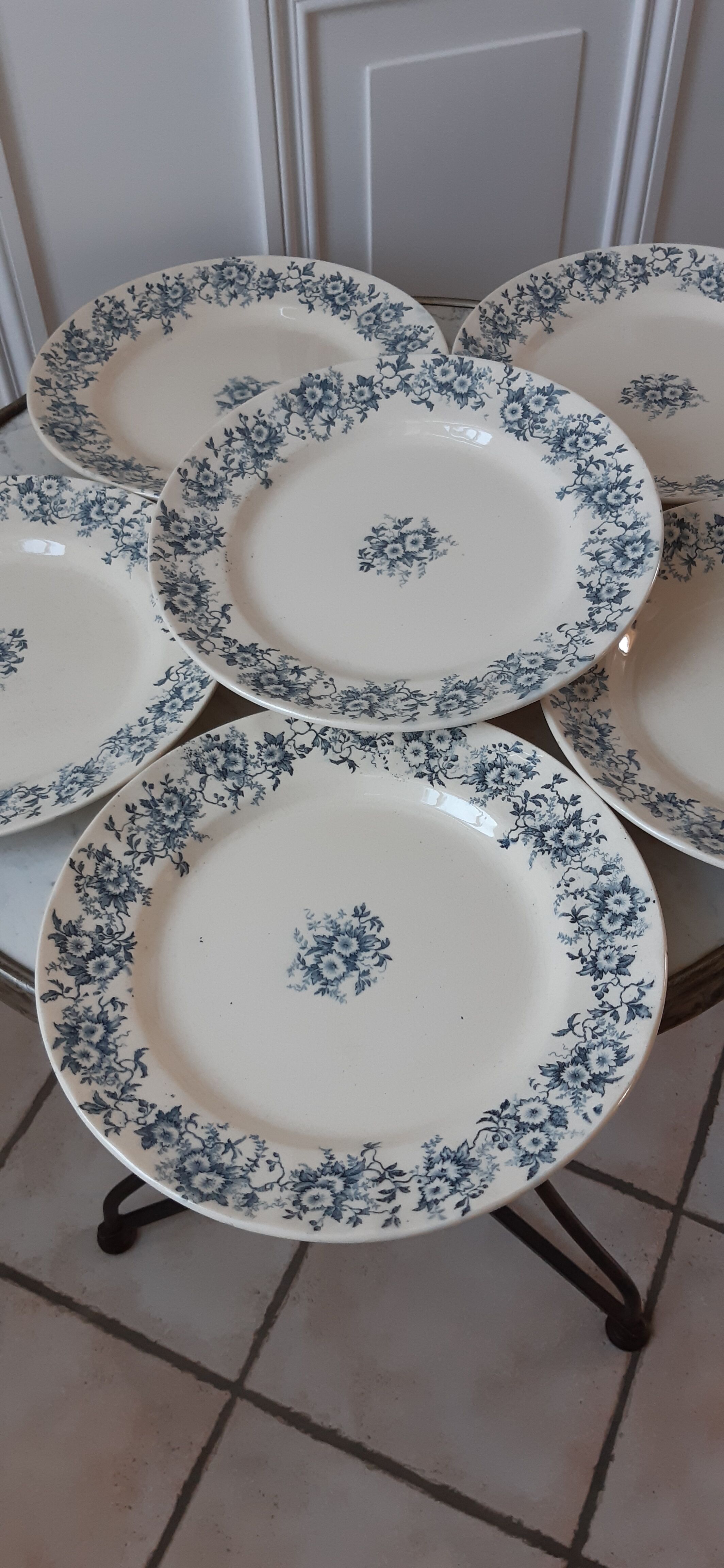 Set of 6 flat plates Terre de Fer model "Aster" XIXth