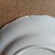 10 vintage Longchamp dinner plates