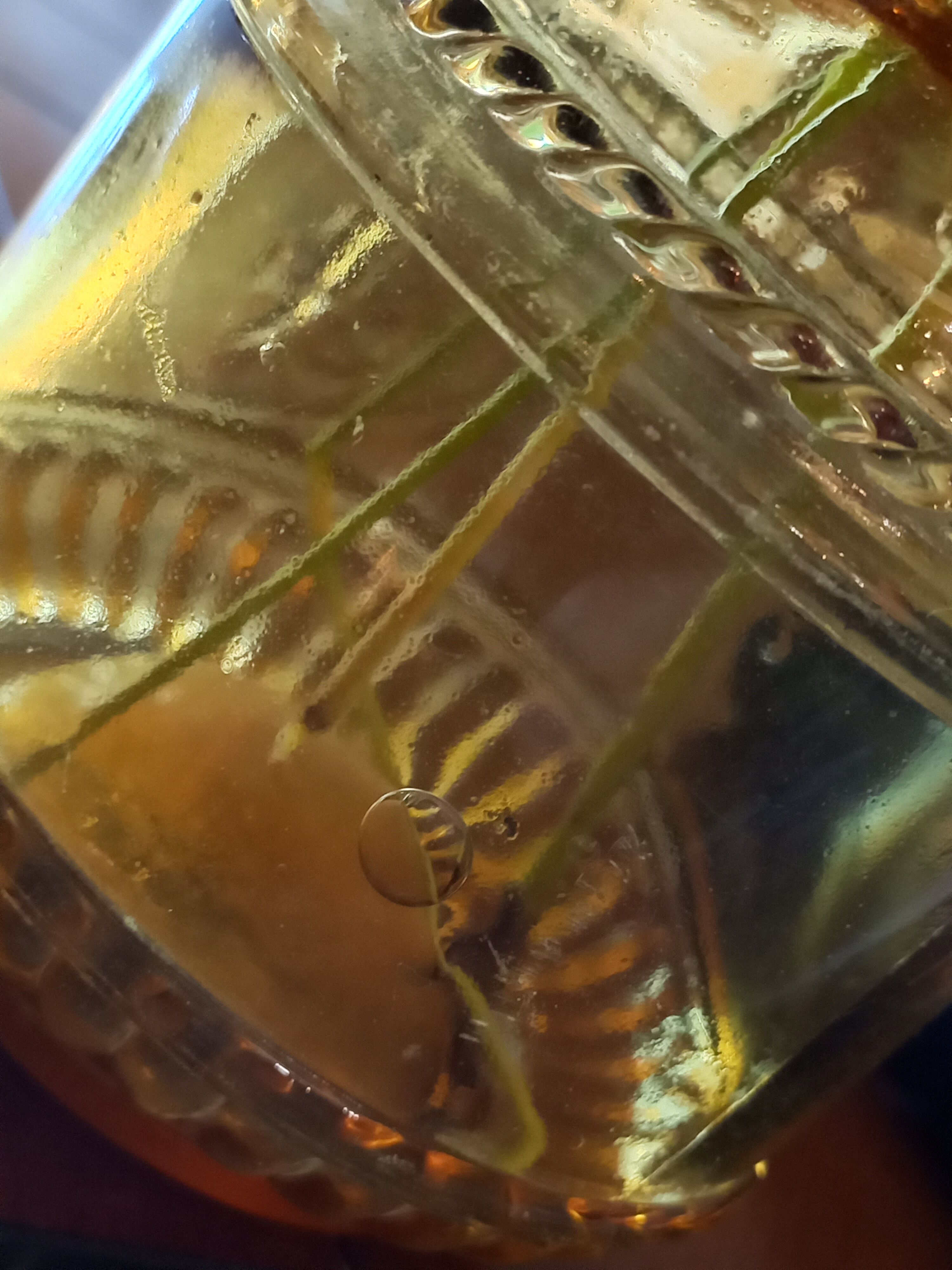 Vase soliflore shaped bottle true vintage