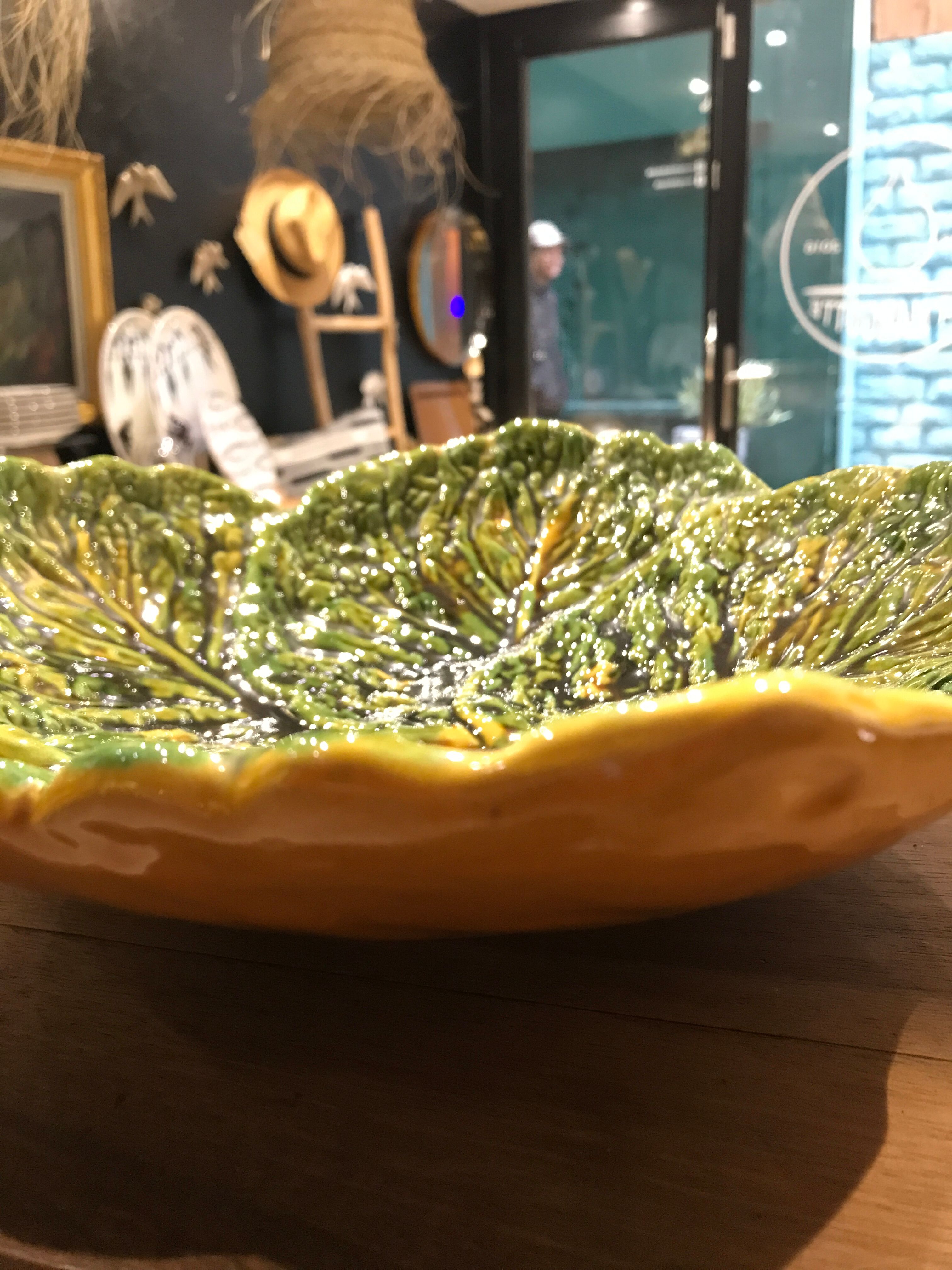 Flat slurry cabbage leaves Vallauris