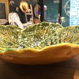 Flat slurry cabbage leaves Vallauris