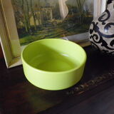 Pot for terracotta anise-green floral composition