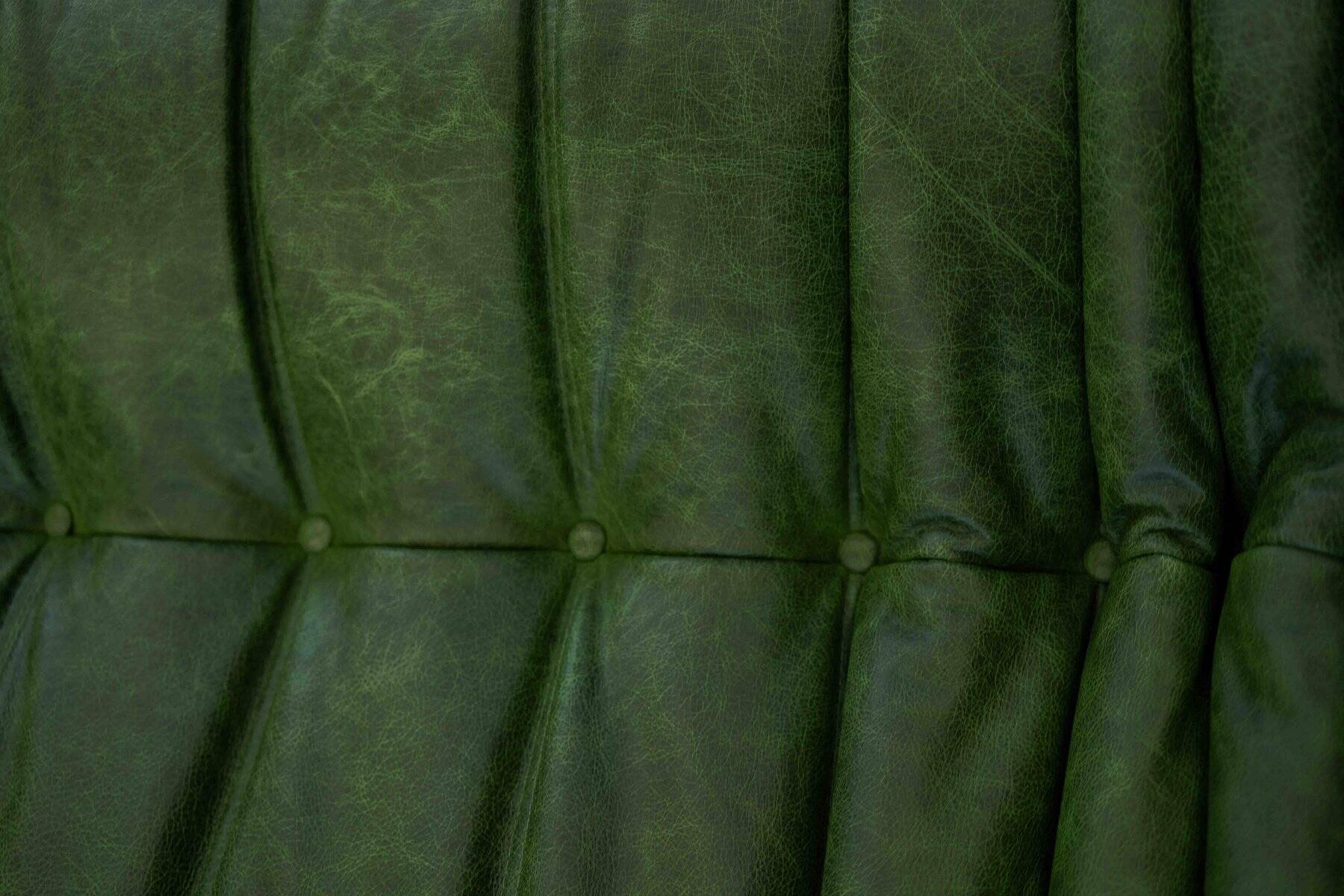 Togo chaise lounge in green leather attributed to Michel Ducaroy for Ligne Roset, 1974
