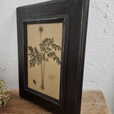 Framed botanical board frame