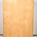 Vintage Wardrobe U-486 by Jiří Jiroutek for Interiér Praha, 1970s