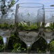 Set of 3 antique water glasses in engraved glass.