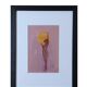 Set of 4 original framed paintings