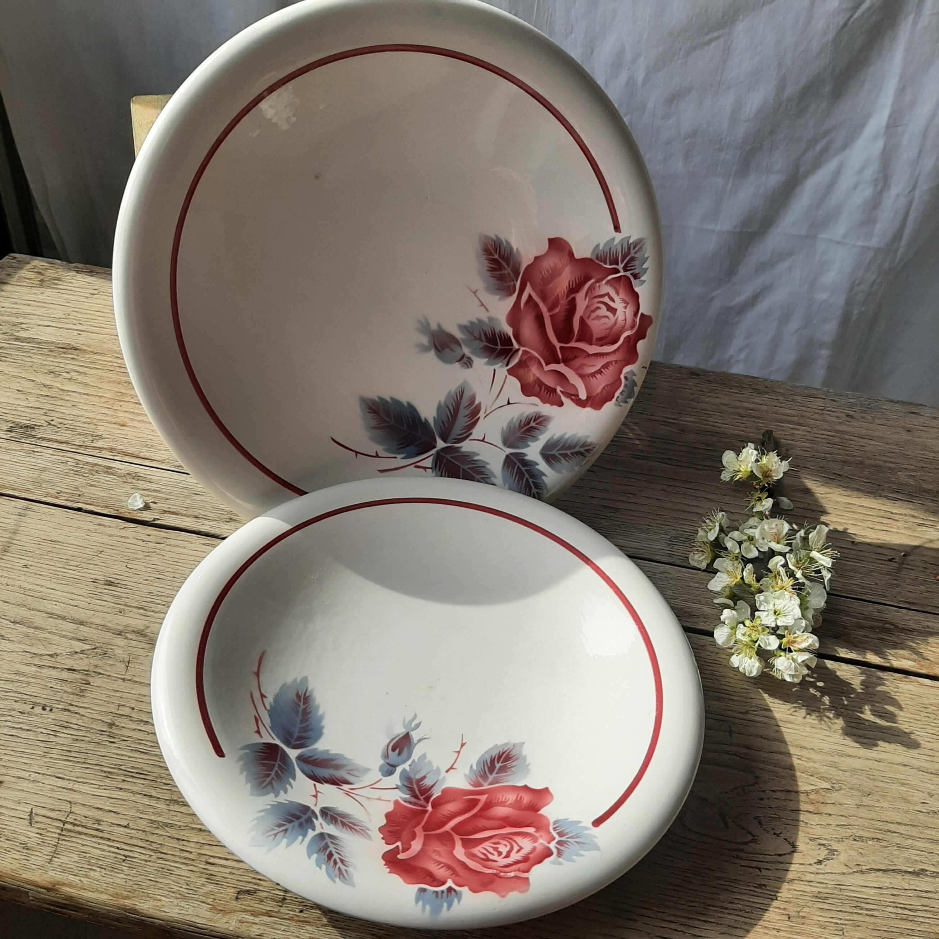 Plats creux vintage lucette digoin sarregurmines