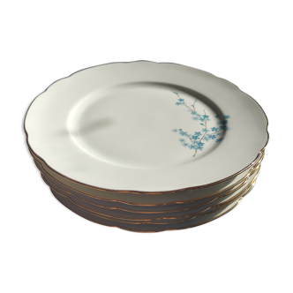 Flat plates - Bernardaud & Co - Limoges France