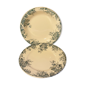 Duo of dishes earth of iron Saint Amand and Hamage