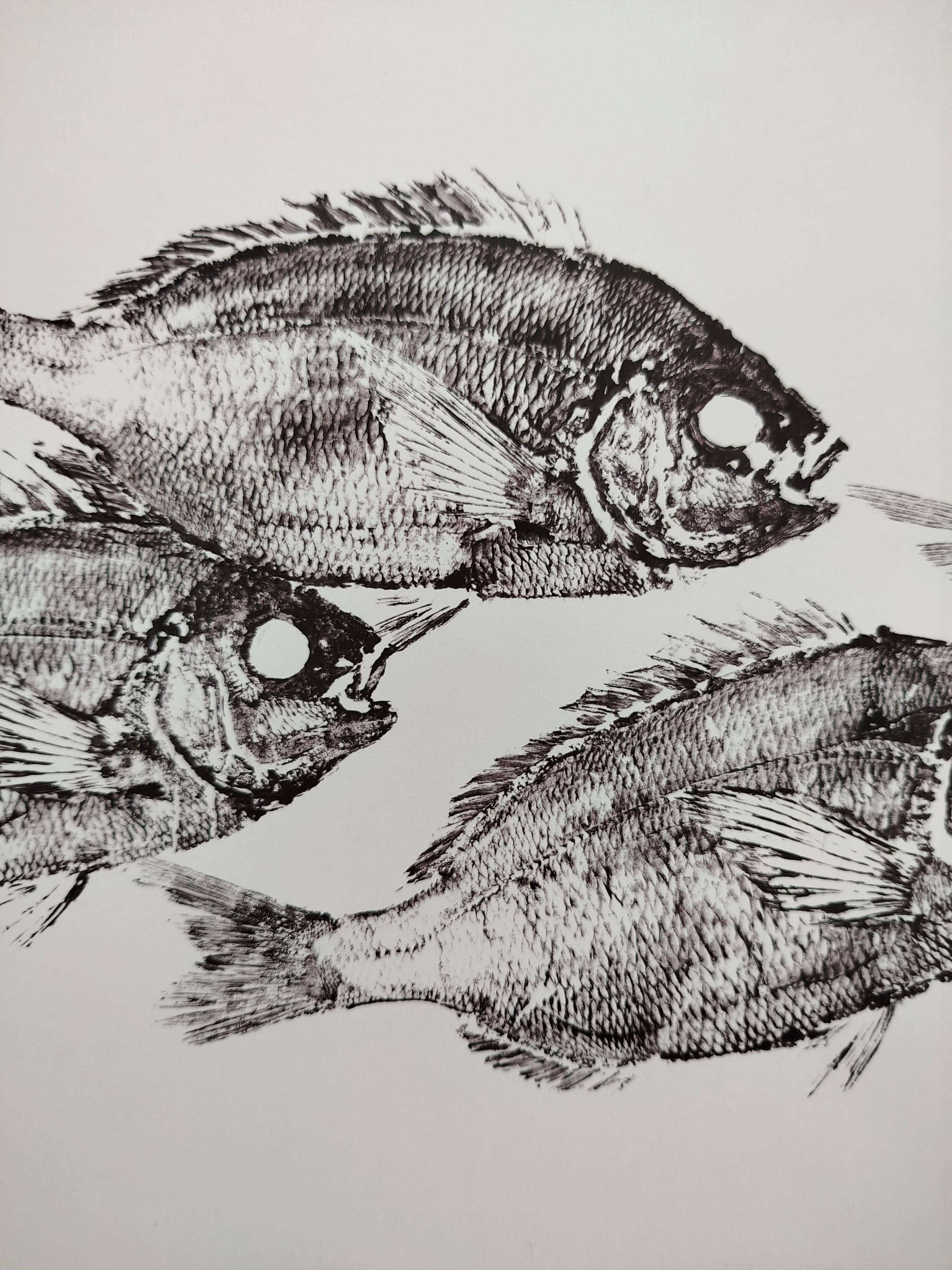 Framed art print, "Print of a school of sea bream" (gyotaku)