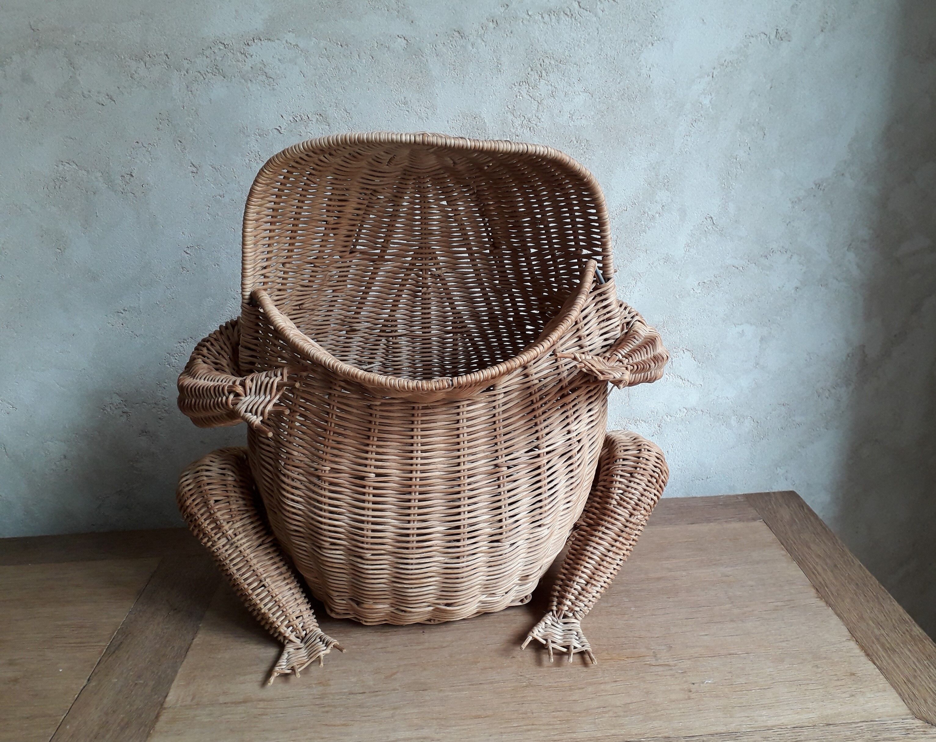Frog in rattan magazine holder
