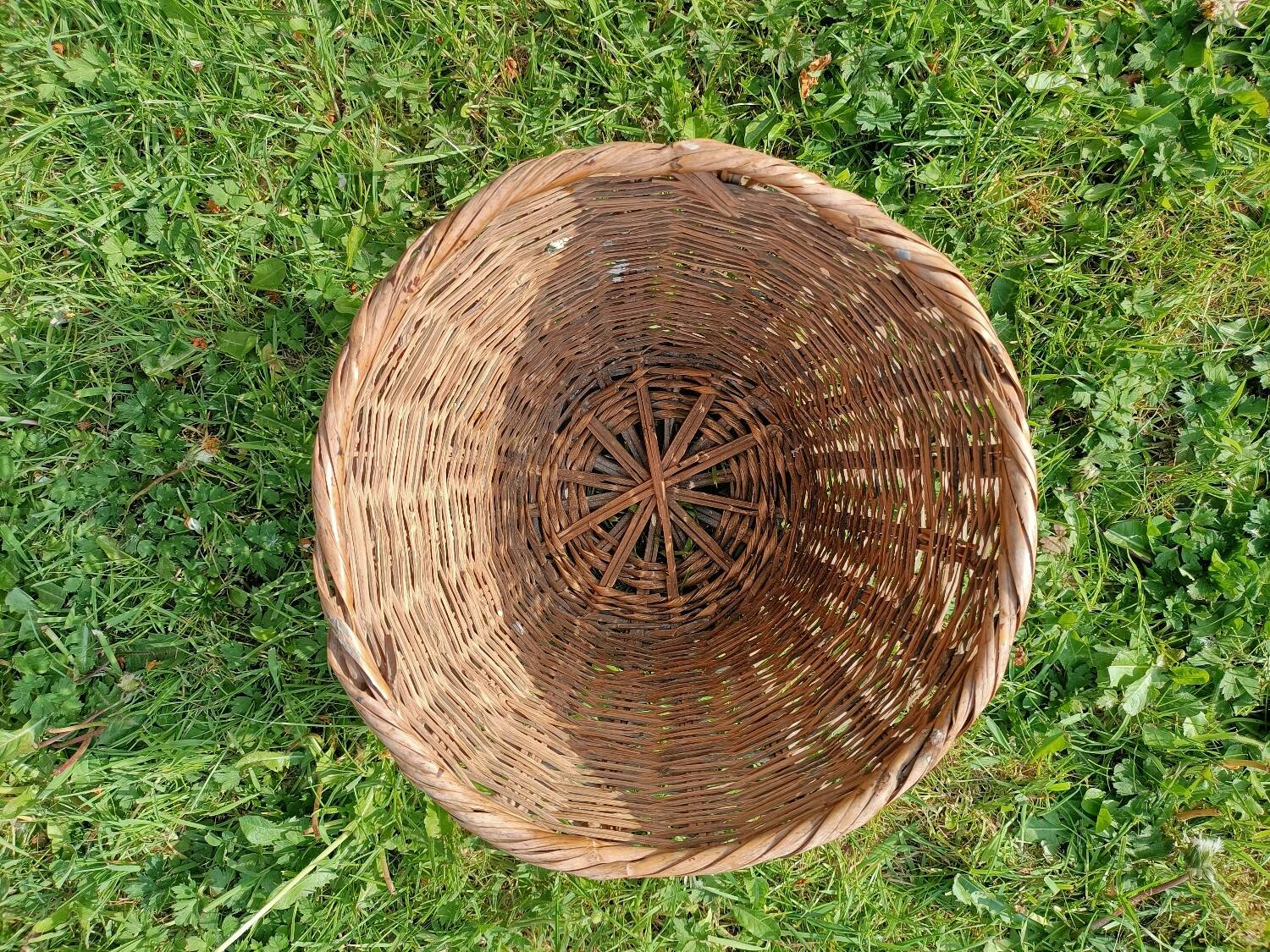 Lot cache-pots osier