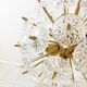 Mid century brass and crystal sputnik chandelier by Val saint lambert, 1960s