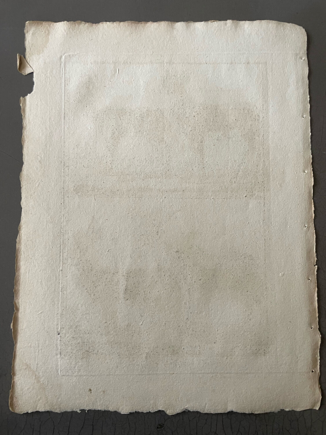 Engraving XVIIIth Buffon