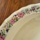 Limoges Bernardaud. Large Round Deep Plate