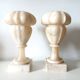 Pair of alabaster fireplace vases on marble base