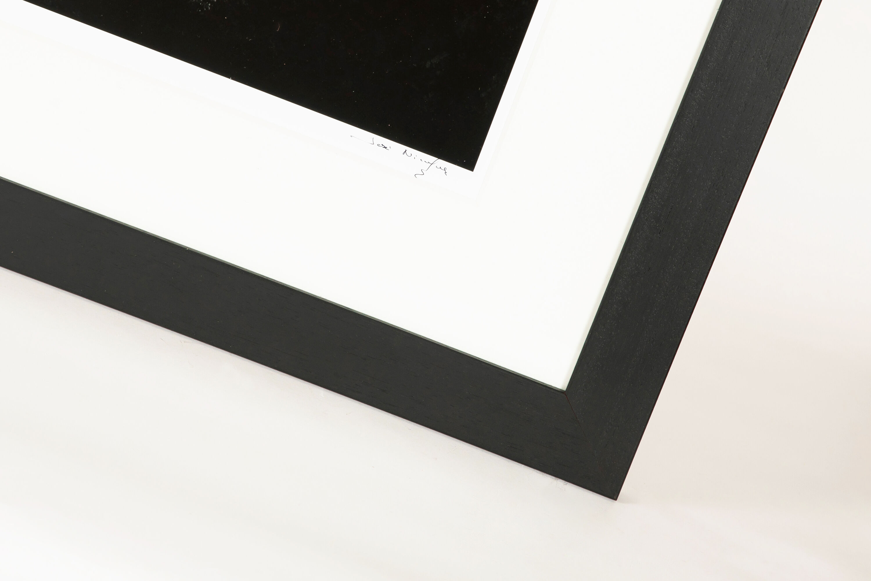 Photography the great watchman 2010