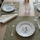 Two antique plates gien – yokohama model – 19th century earthenware