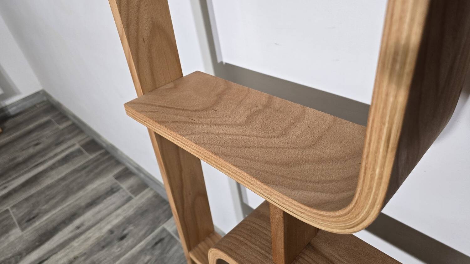 Room Divider by Ludvik Volak for Drevopodnik Holesov, 1950s