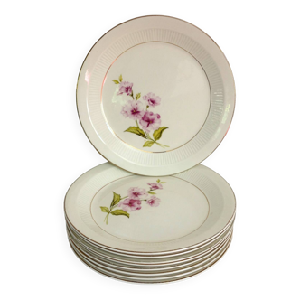 10 Gien flat plates vintage Chevreuse model